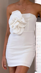 Xanbi Mini Dress - White