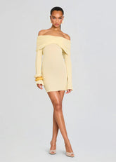 Xen Knit Mini Dress